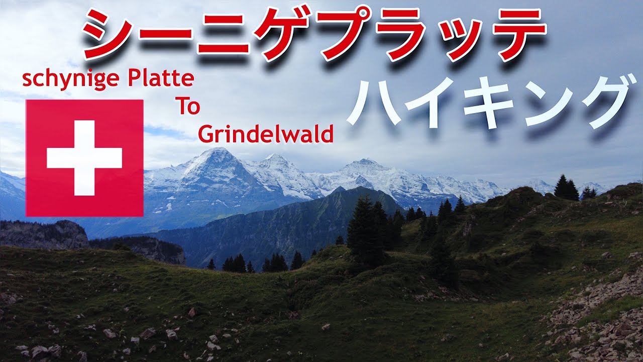 スイス🇨🇭シーニゲプラッテからグリンデルワルド ハイキング！Schynigeplatte to Grindelwald Hiking