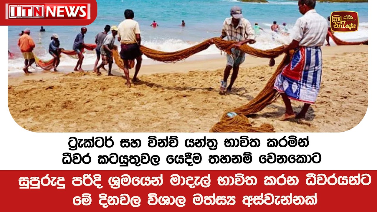 ශ්‍රමයෙන් මාදැල් භාවිත කරන ධීවරයන්ට මේ දිනවල විශාල මත්ස්‍ය අස්වැන්නක්