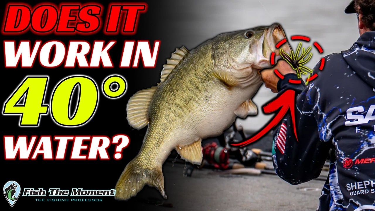 I Tested The “Fuzzy Ball” In 40° Water – Does It Still Work?