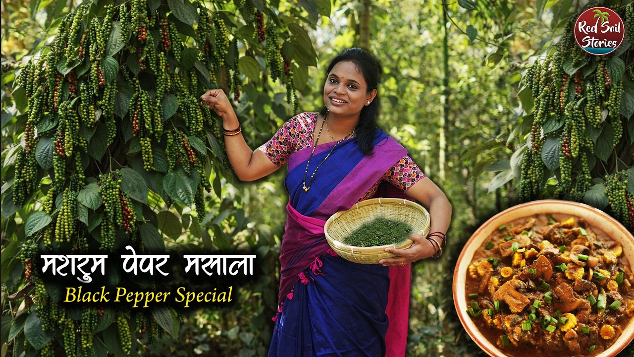 काळया मिरीचे मशरूम पेपर मसाला, मेतकूट | Black Pepper special | Village Cooking | Red Soil Stories