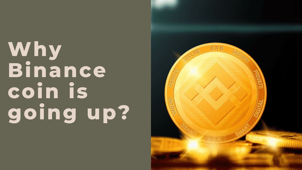 Why Binance coin is going up | BNB (binance coin) price analysis