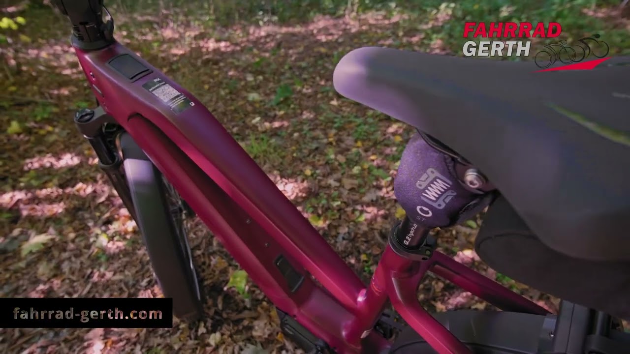 Riese & Müller Charger5 Mixte pinion