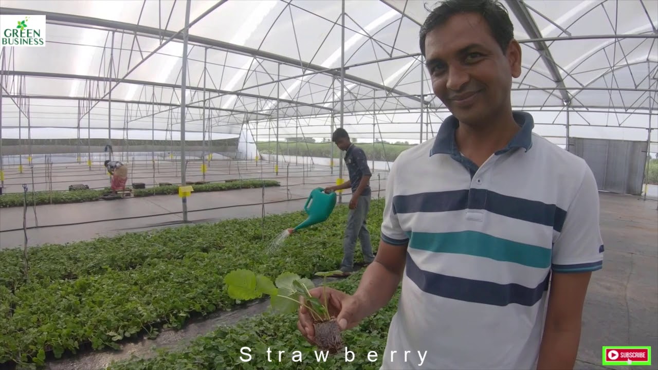 Vikas Hitech Nursery  - A partner in farmers growth.