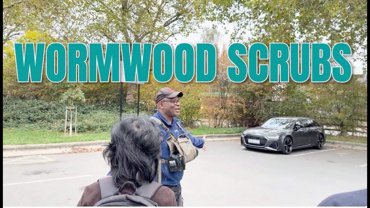Wormwood Scrubs - autumn bird walk with David Lindo