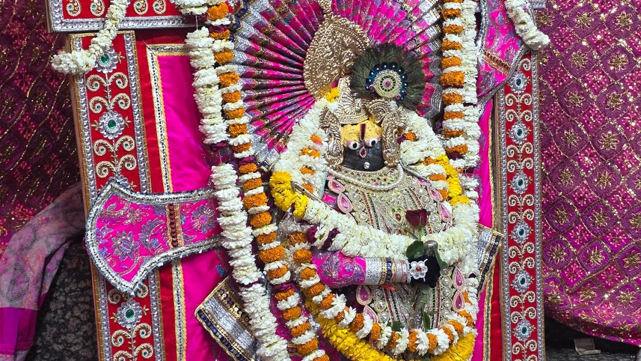 Yatra with Punit is live