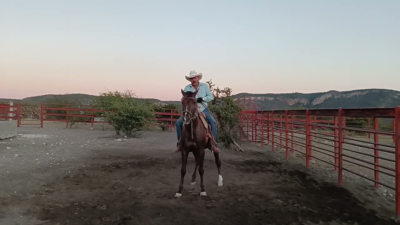 Ejercicios de la Cala de Caballo