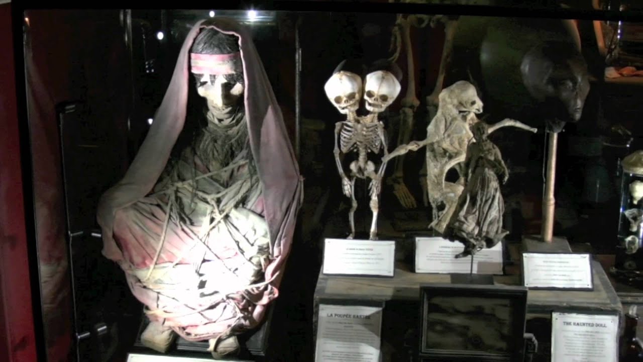 Voyage dans le Nautilus de Pairi Daiza