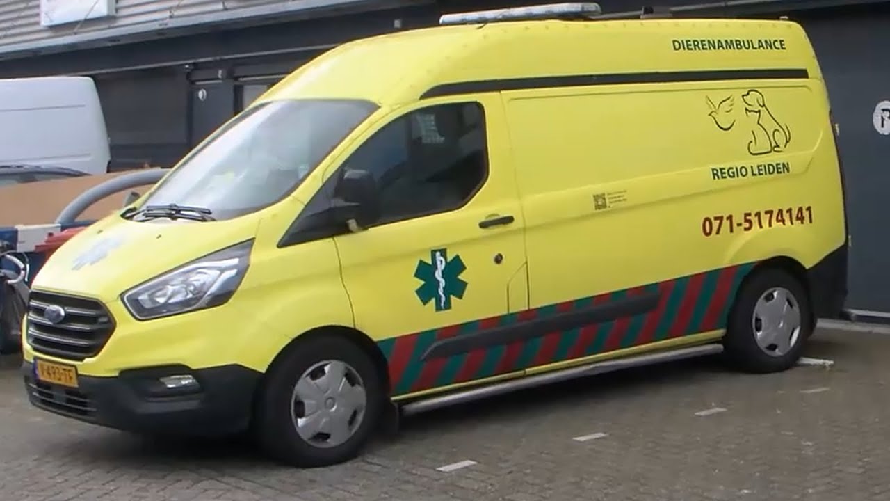 Dierenambulance Regio Leiden zoekt centralisten