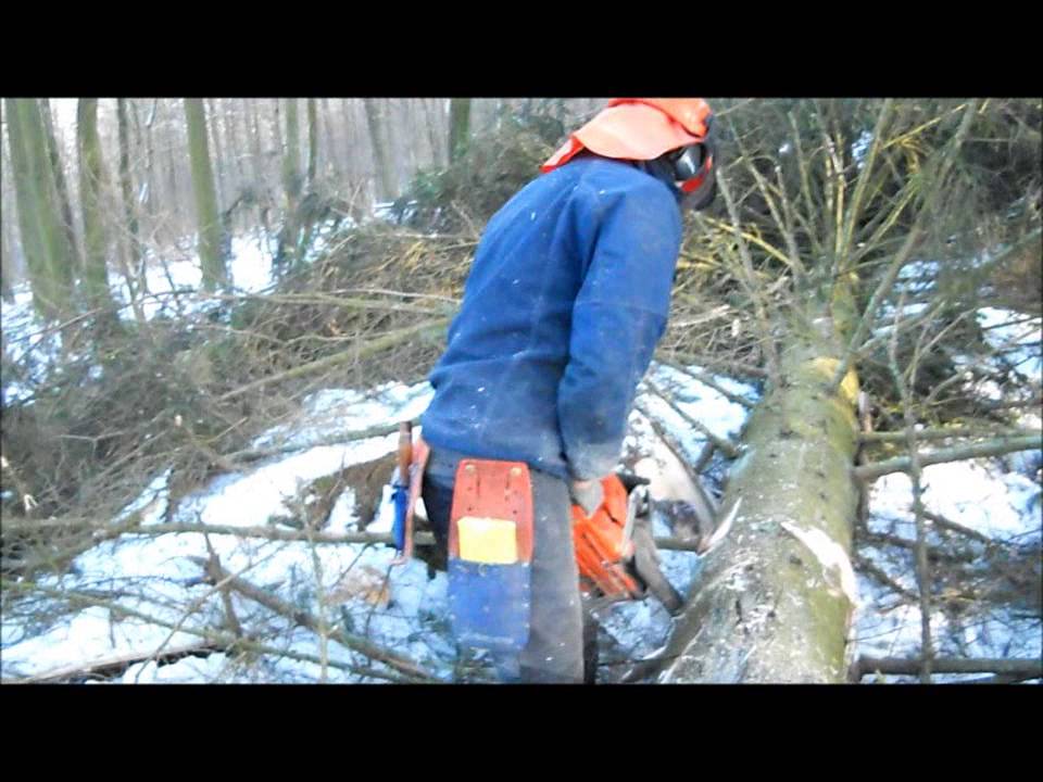 Husqvarna Stéphane ébranchage d'un épicéa 5