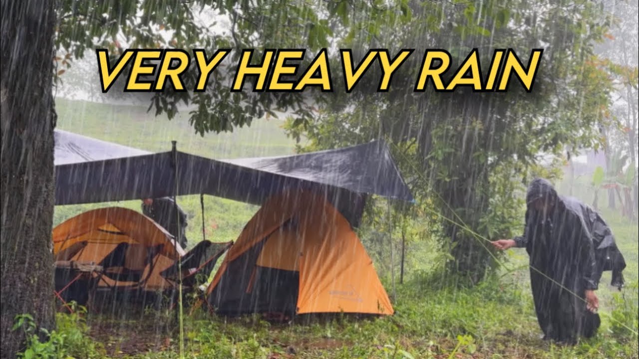 VERY Heavy Rain in Our Not Solo Camping by the Creek &bull; Not Solo Camping Heavy Rain
