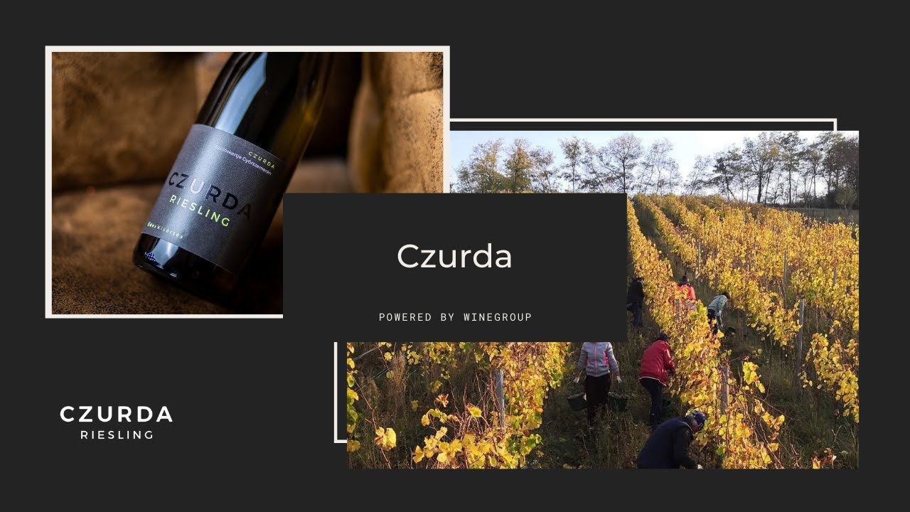 CZURDA  - Bemutatkoz&oacute; / Powered by WineGroup