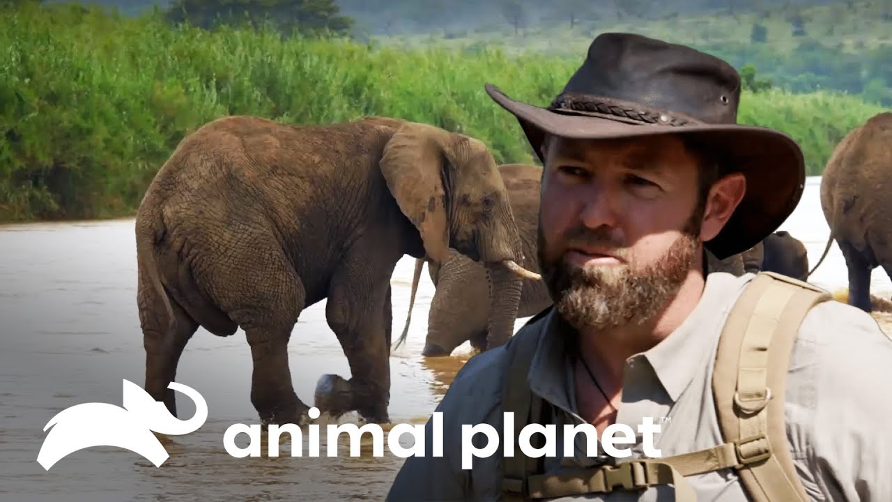 Forrest segue rastros de um elefante furioso | Criaturas Misteriosas com Forrest Galante