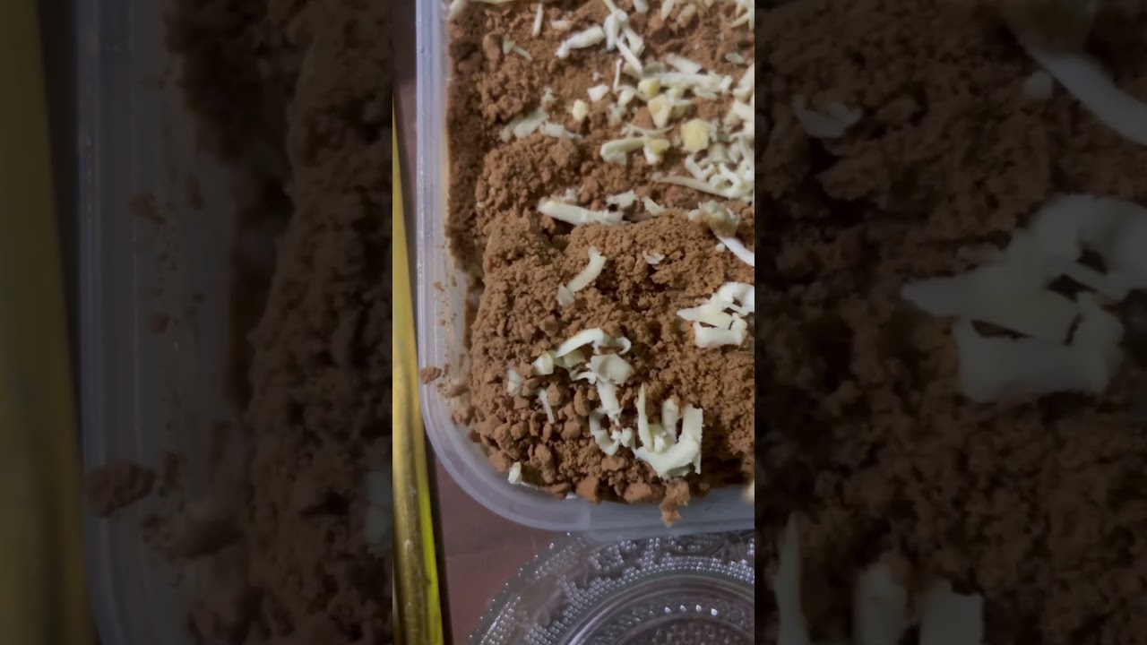 dessert for tonight #subscribe #dessert #bisayavlogger