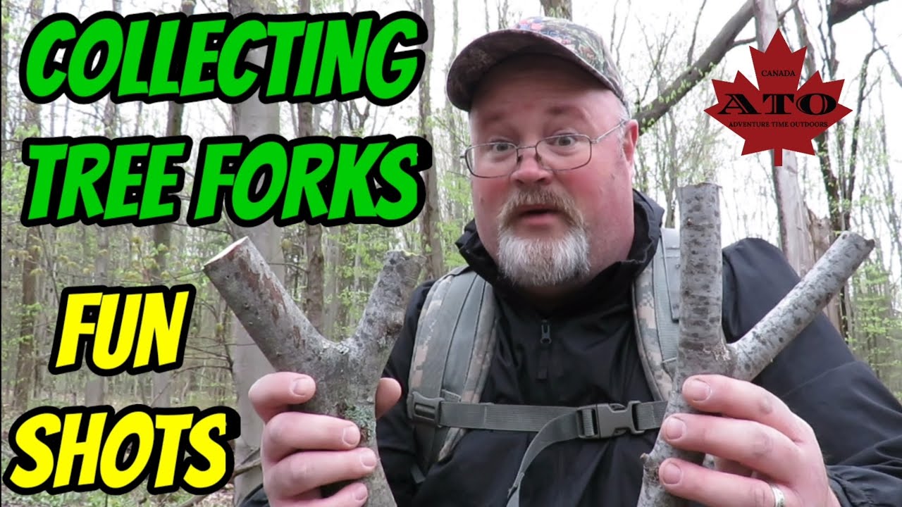 Collecting tree forks, fun shots and an excellent lunch