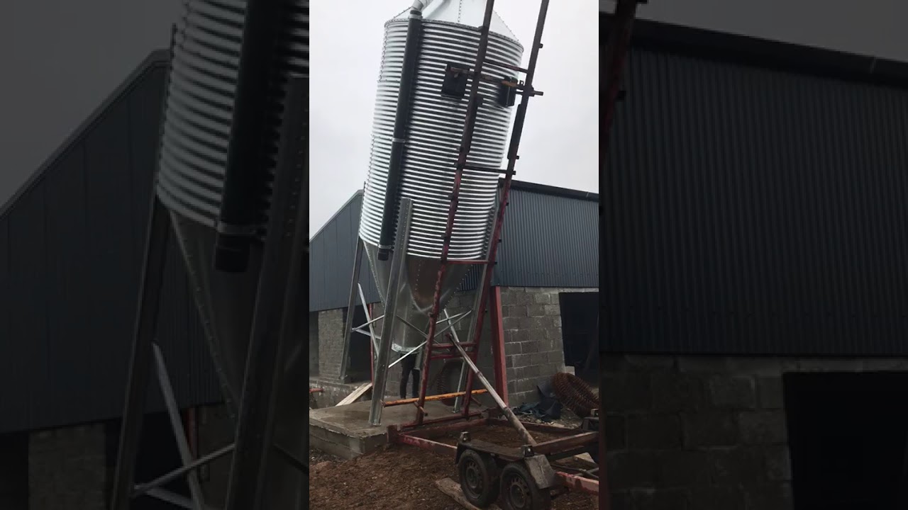 Paudie Cooney Standing Up Meal Bin