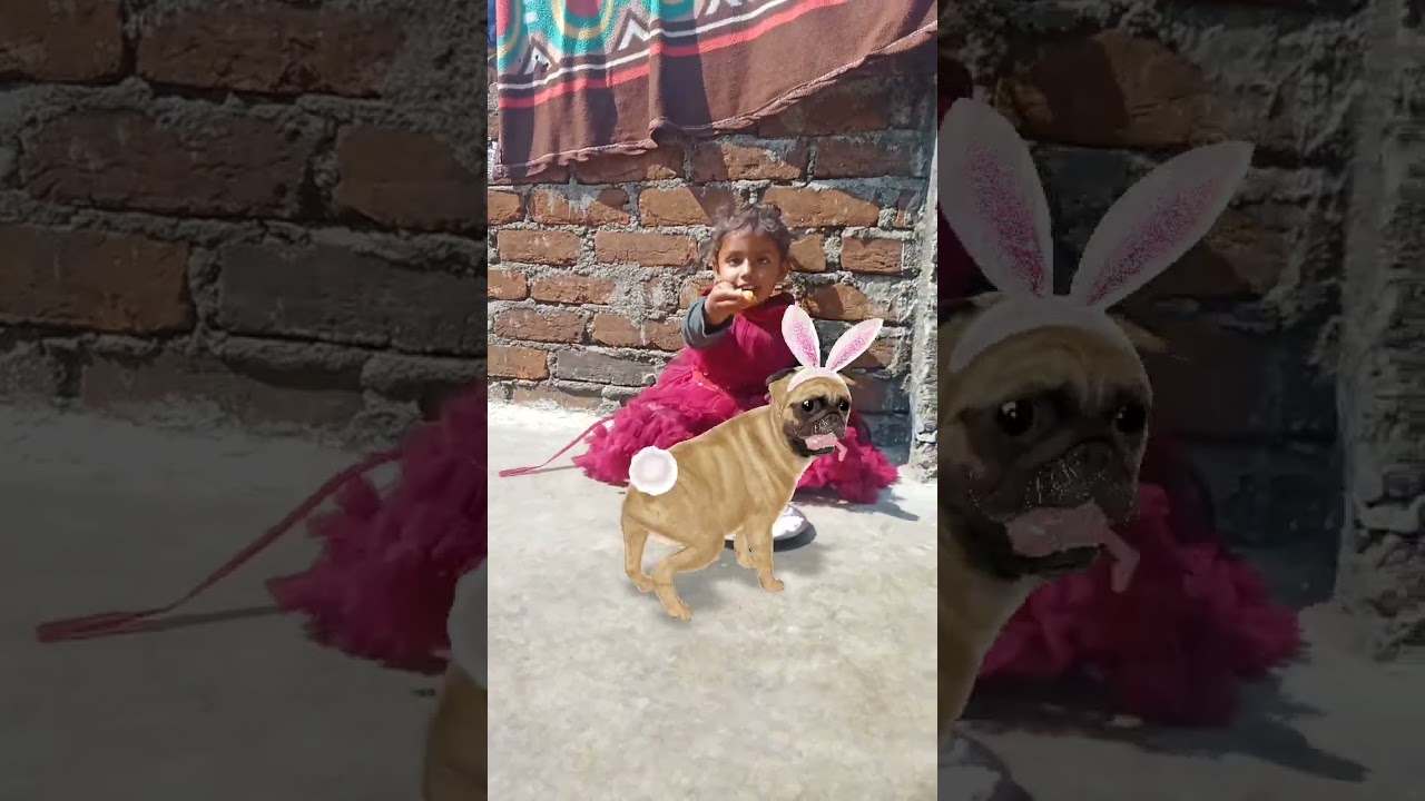 Tukui tukui Cute 💕🥰😘🤩👍#trending