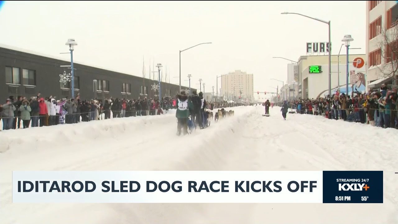 Iditarod sled dog race kicks off