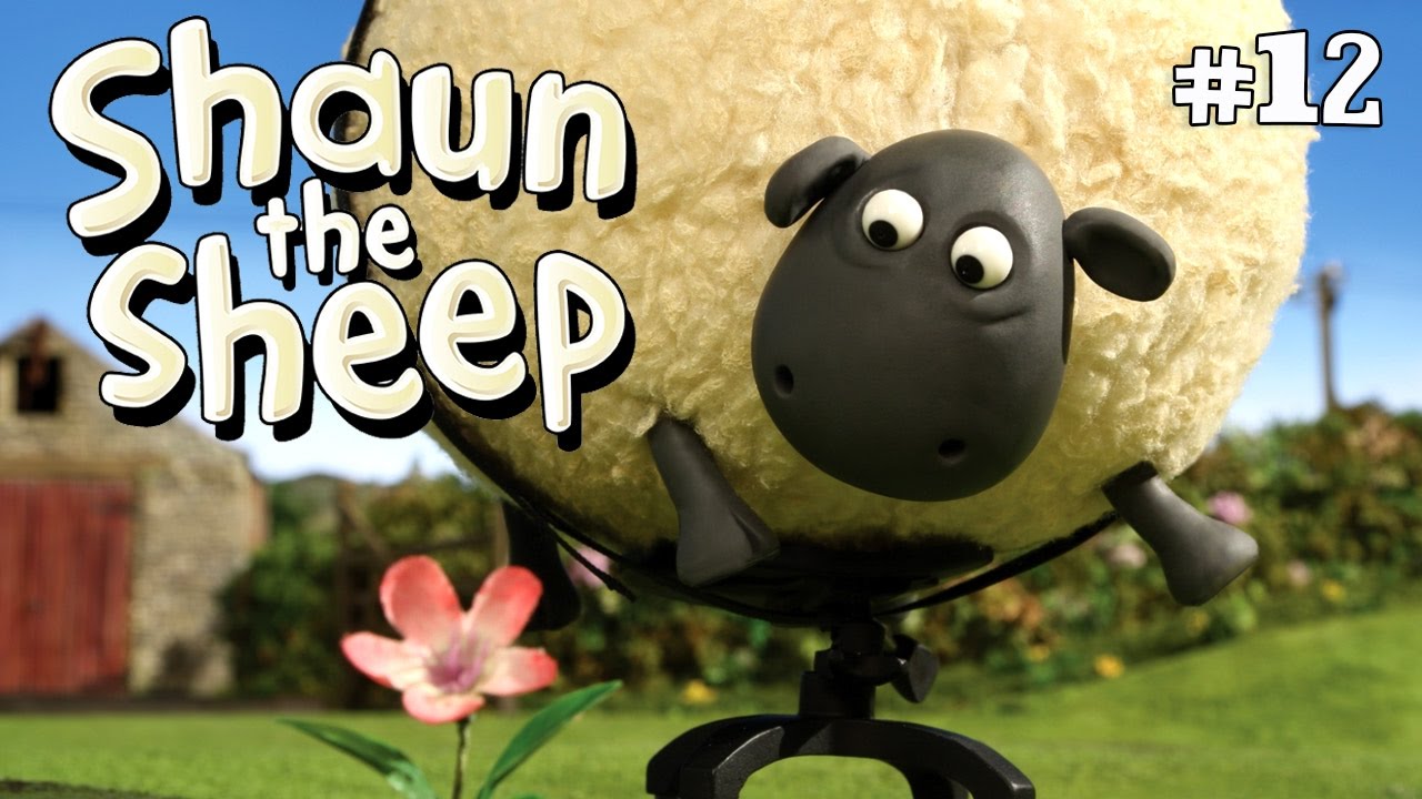 Shirley Whirley x3 Episodes | Season 2 DVD Collection | Shaun the Sheep