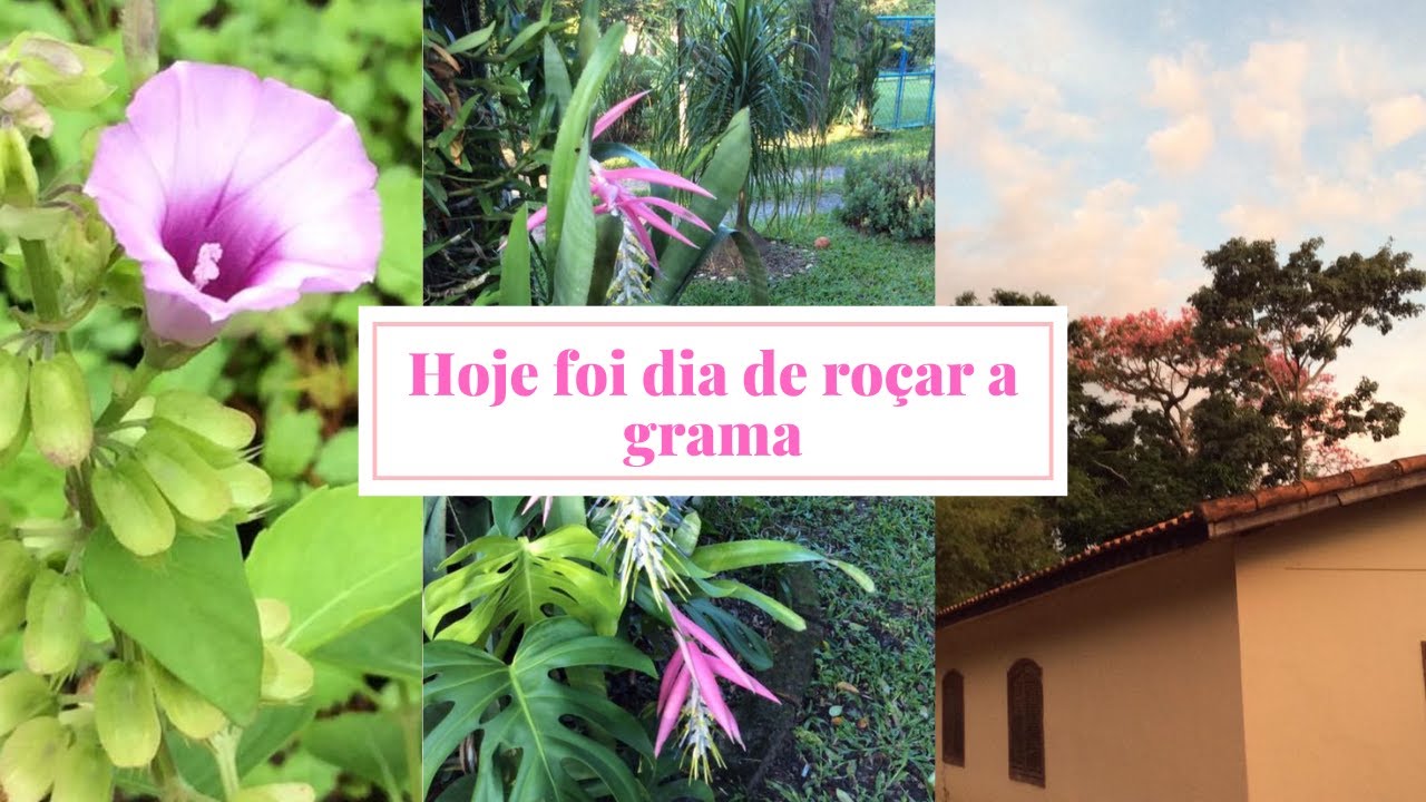 HOJE DIA DE RO&Ccedil;AR/ TUDO MUITO SECO/ APRESENTEI NOSSO JARDIM