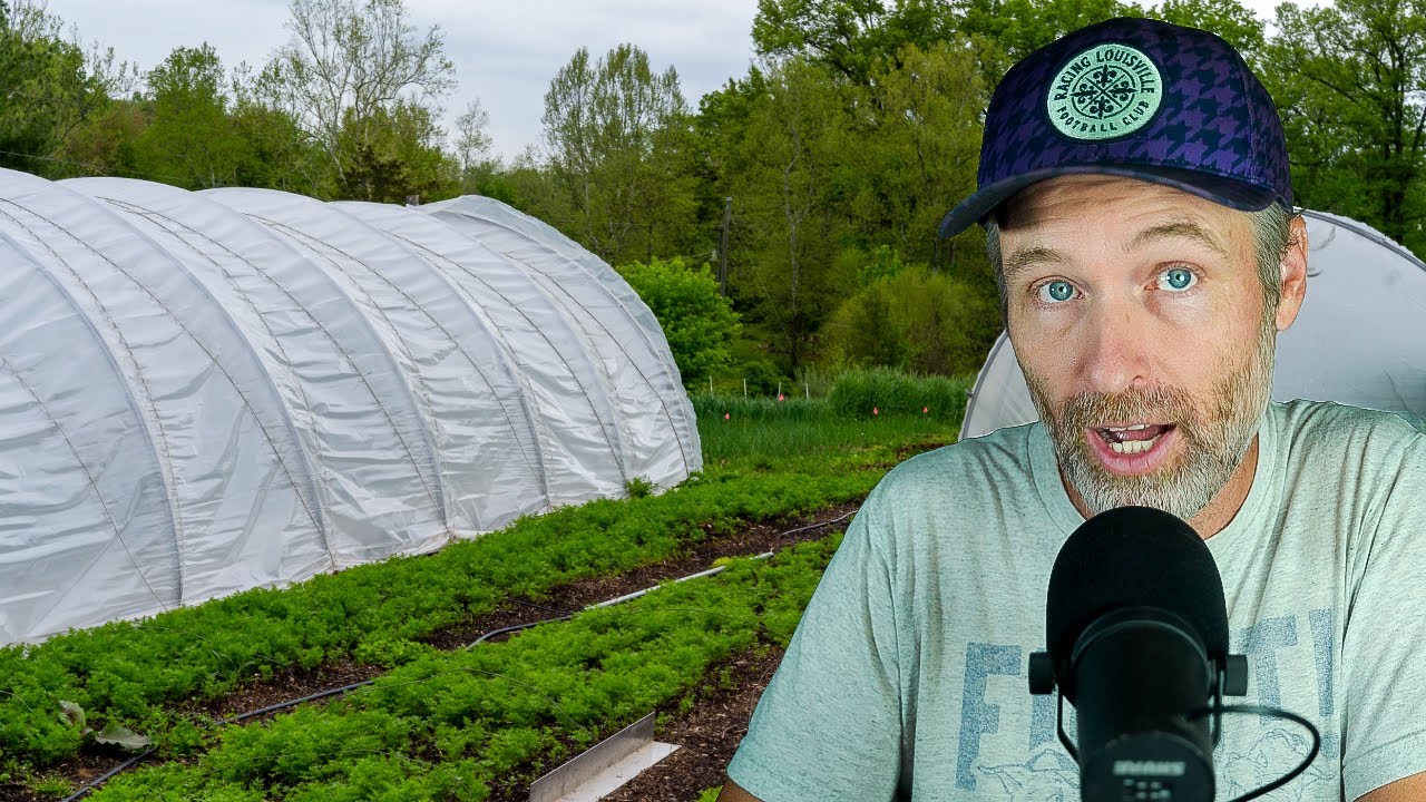 Fungal to Bacterial Ratios for Soil Health + The Death of Curiosity