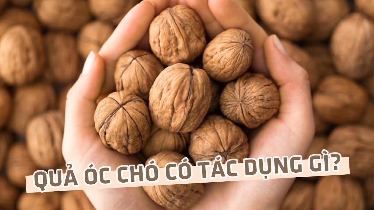 11 t&aacute;c dụng kh&ocirc;ng ngờ của quả &oacute;c ch&oacute; đối với sức khỏe