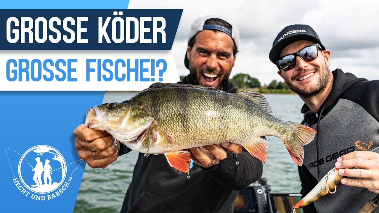 Mit SEAN WIT gezielt auf Gro&szlig;fisch!