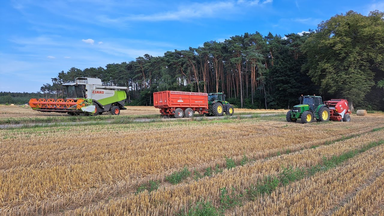 Żniwa 2024 Claas Lexion 550