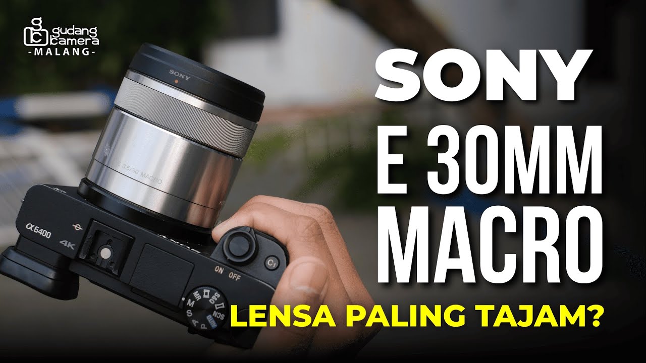 LENSA PALING DETAIL - Sony E 30mm MACRO F3.5