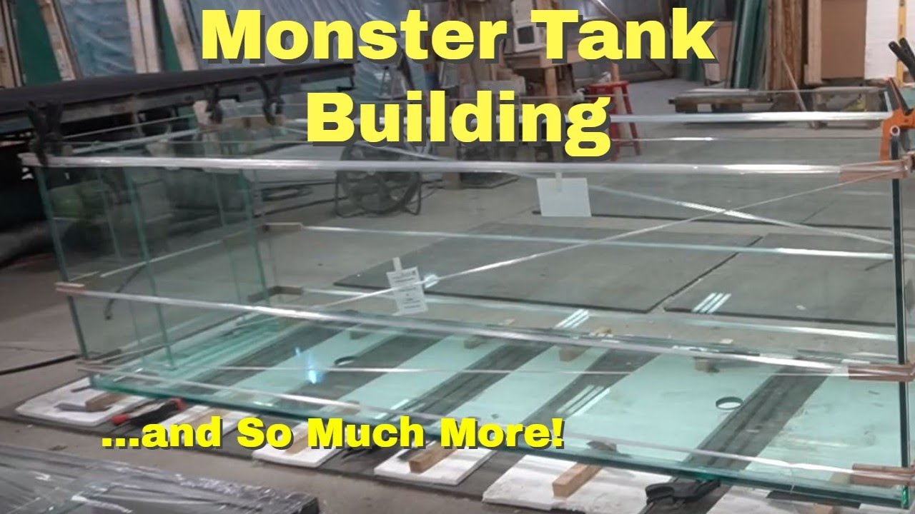 A Trip to Master Aquarium Builders 