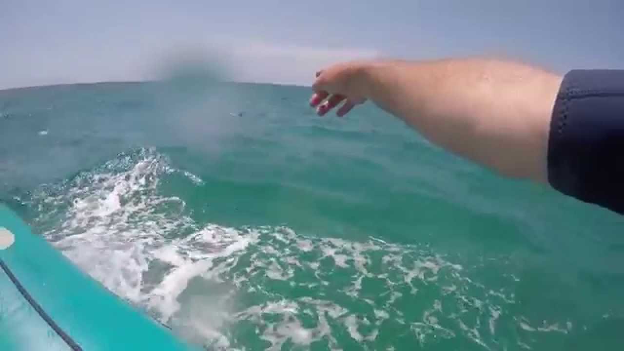 Snorkeling in the Open Ocean @ Sodwana Bay. South Africa