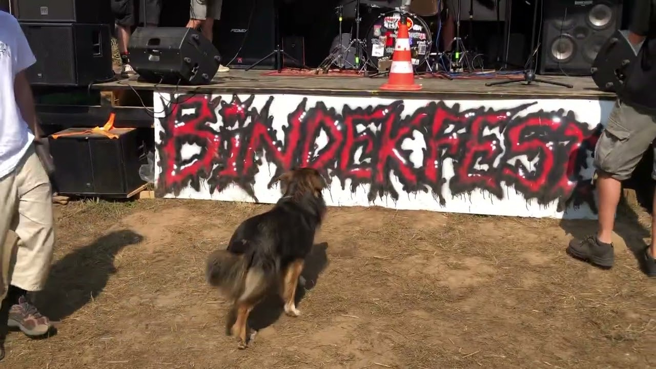 Green Crack vs Ku-Ri-Boh! @ Bindek Fest 2025 (split 7&rdquo; release show)