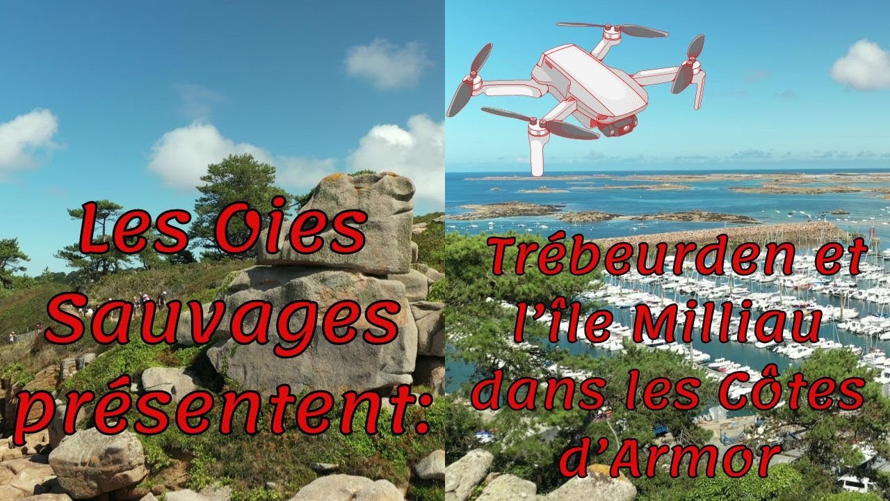 Trébeurden, le Castel et l'île Milliau dans les Côtes d'Armor (22)