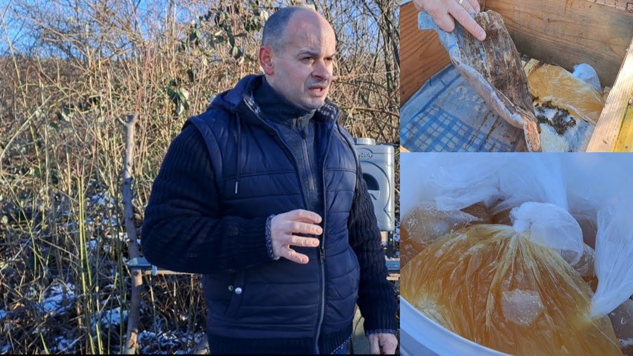 Primul tratament în turtă cu miere . Cum trec stupii fără probleme de gerul care vine ?