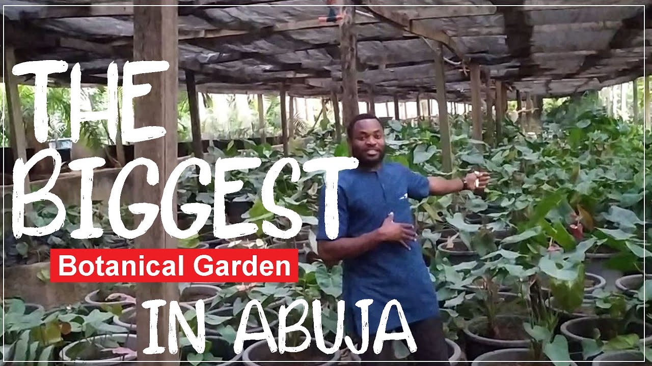 The Biggest Botanical Garden in Abuja, Nigeria