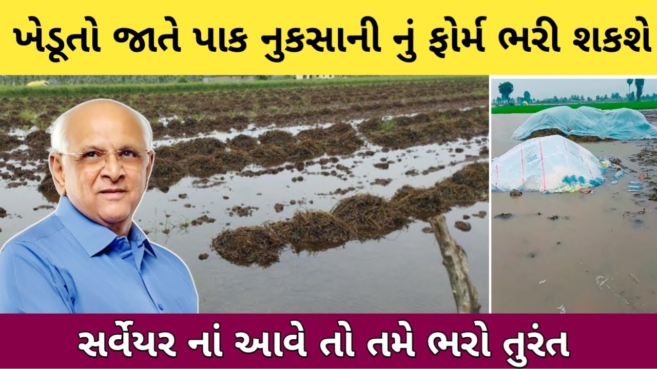Farmers will be able to fill the form themselves for crop damage compensation || See how to fill the form for crop damage assistance 
