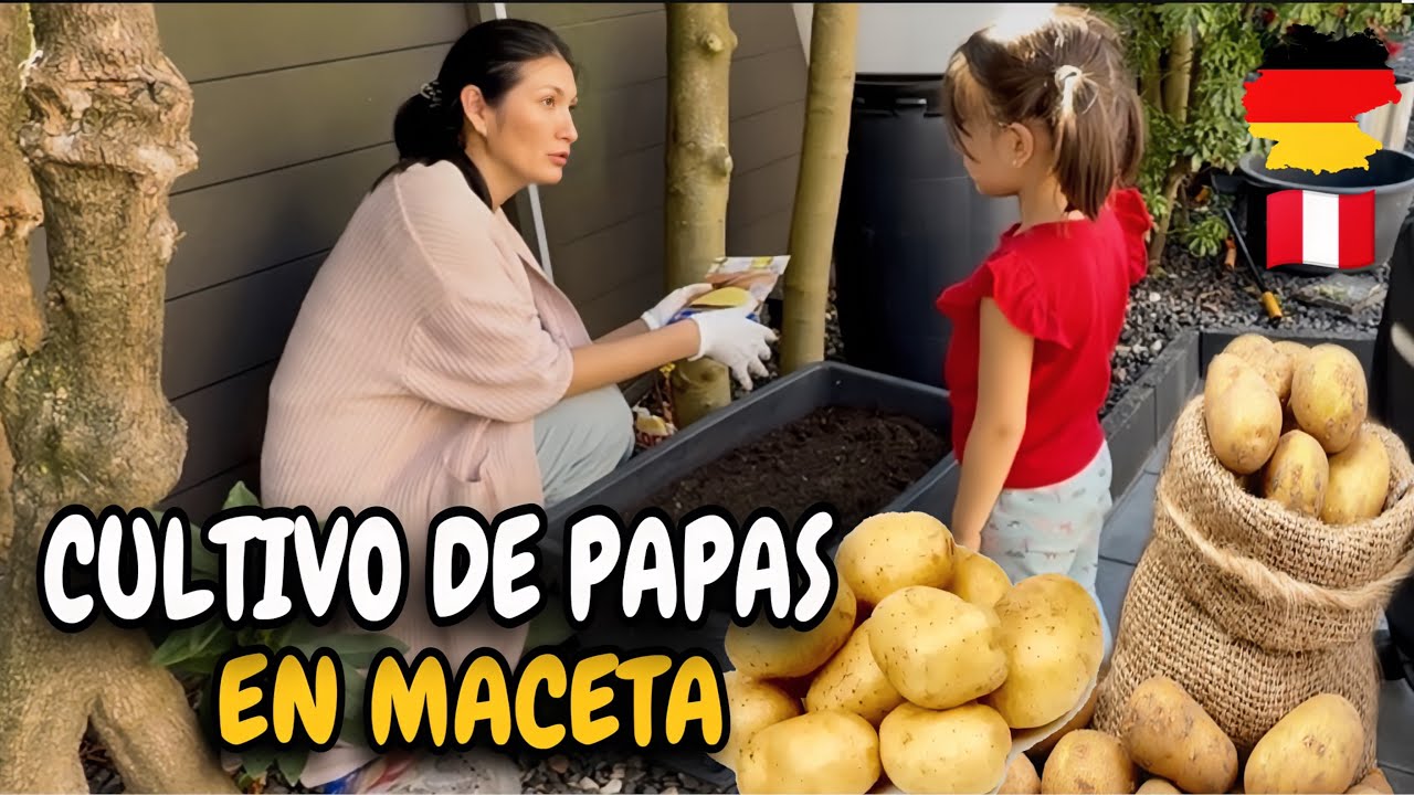 ¡SOPHIA SEMBRÓ PAPAS CONMIGO! 🥹Un día tierno en nuestro huerto familiar en Alemania | Shirley Tocic