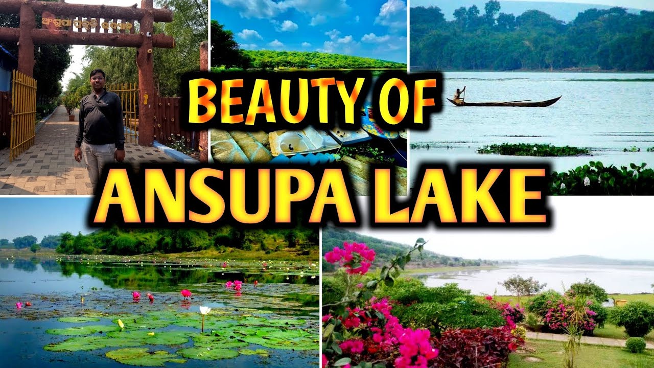 Ansupa Lake Cuttack Odisha | Largest Fresh Water Lake Odisha | Ansupa Nature Camp Banki