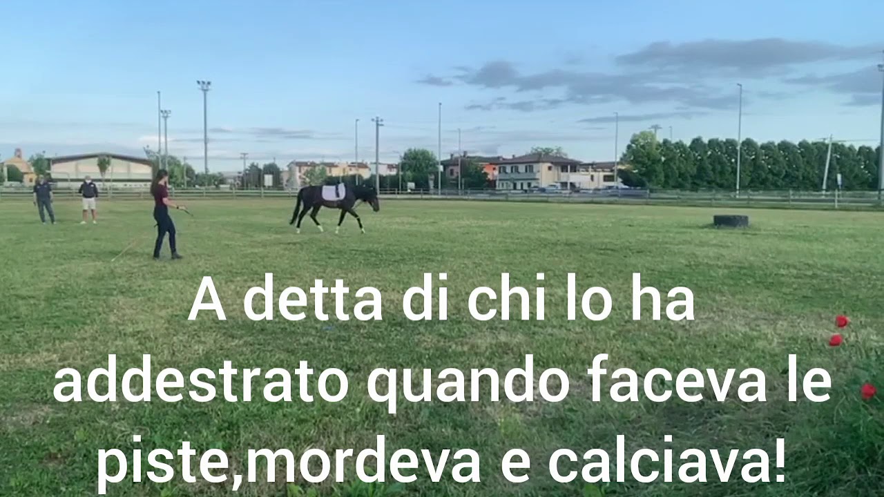 Chambon la mia esperienza!!!