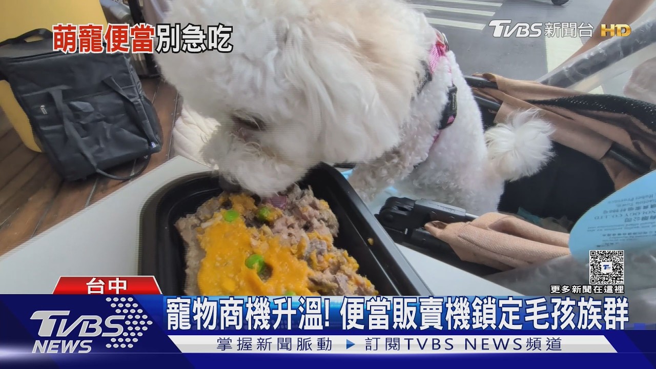 寵物商機升溫! 便當販賣機鎖定毛孩族群 ｜TVBS新聞 @TVBSNEWS01