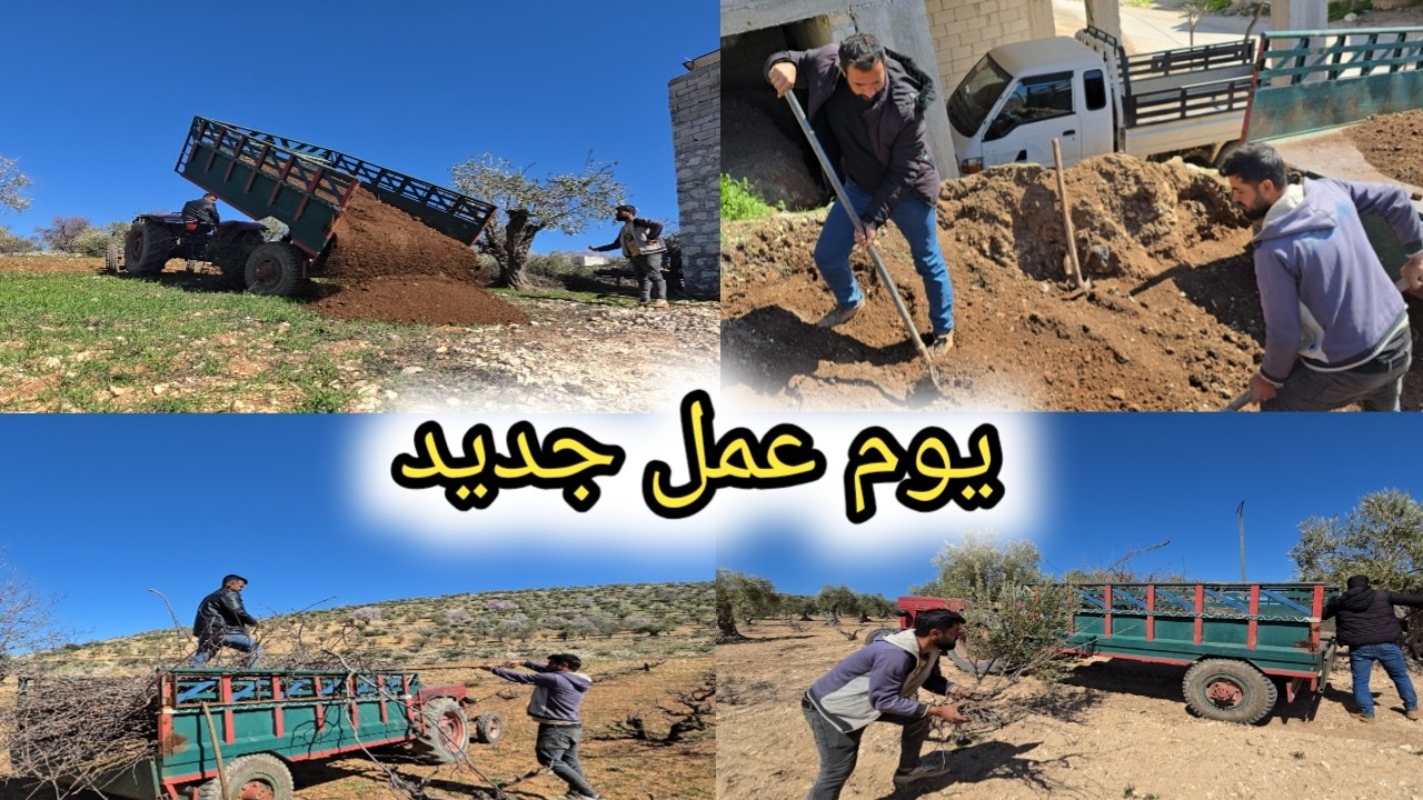 روتين شغلنا بالضيعة | حملنا أغصان الدوالي و نقلة تراب لخالو | تابعوا للأخير❤️