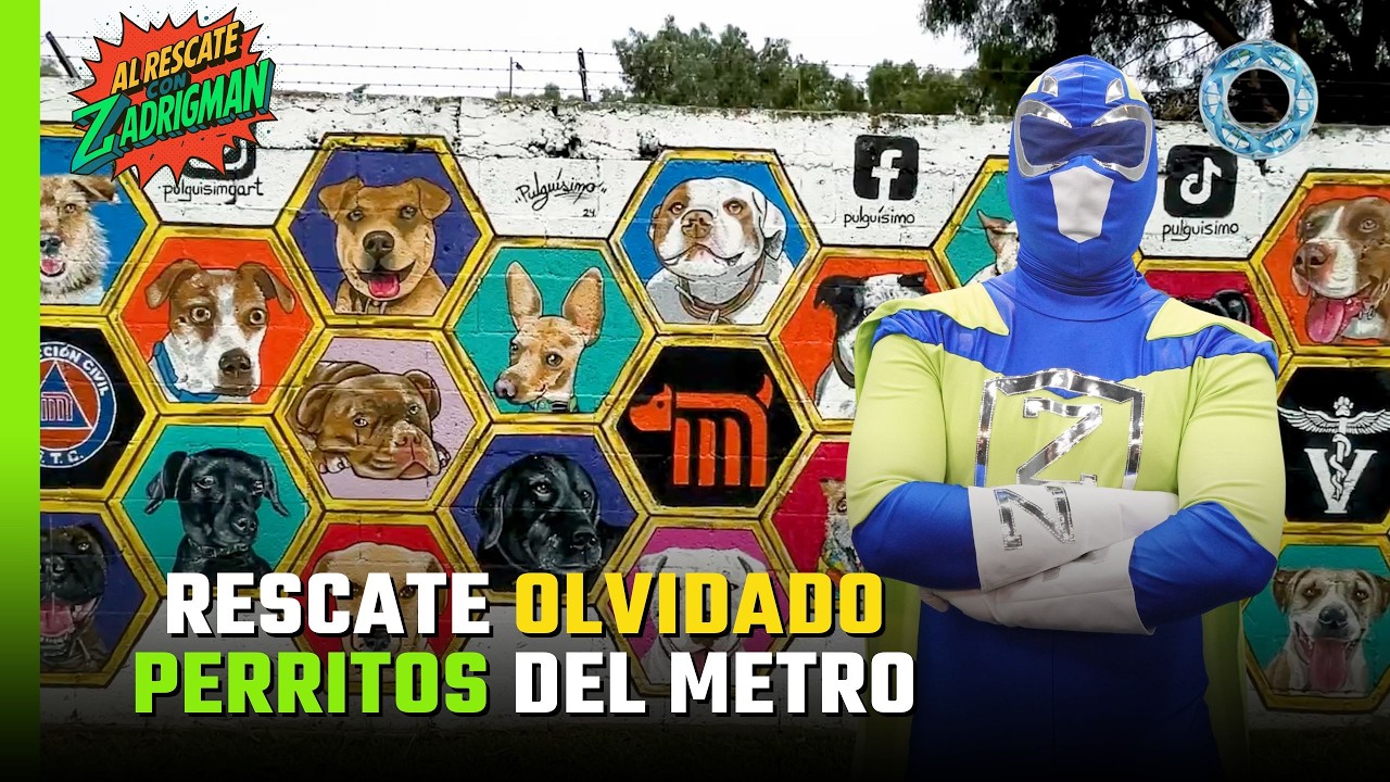 Los perritos olvidados del Metro de la CDMX 🐶🚇 | El rescate que casi nadie conoce