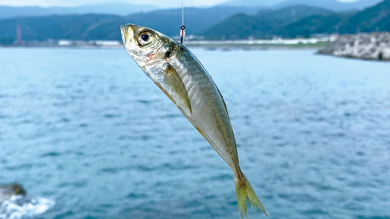 これで決める