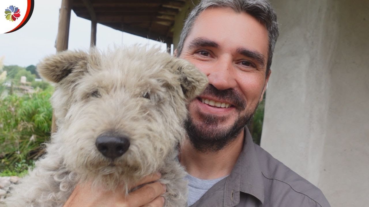 🌱 TOUR por nuestro PROYECTO ECOLÓGICO en OTOÑO 🍂 | TODO por HACER , hongos, huerta, gallinas y más.