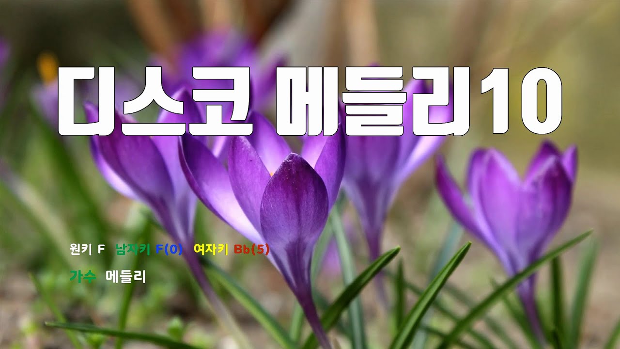 [은성반주기] 디스코메들리10 - 메들리