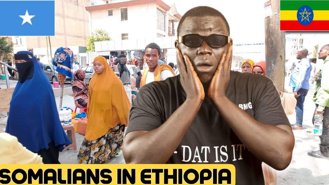 ТАК ВОТ ЧТО СОМАЛИЙЦЫ ДЕЛАЮТ В ЭФИОПИИ, АДДИС-АБЕБА 🇪🇹