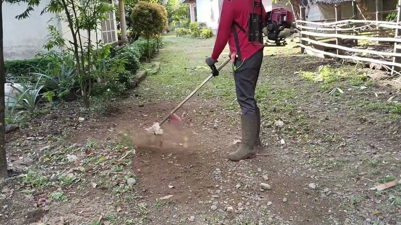 Aksi Potong Rumput Pakai Senar | Semangat Sore Tak Terkalahkan! #potongrumput #bersihbersih 