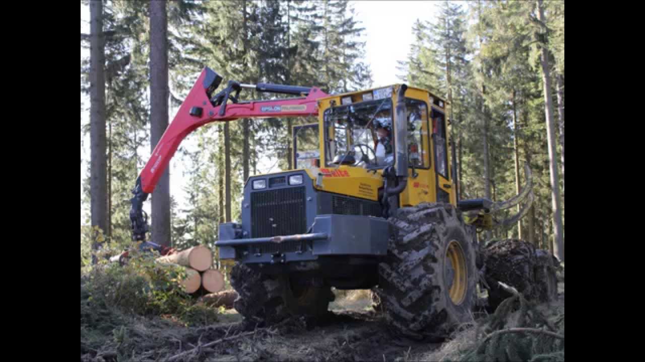 Welte vorführung