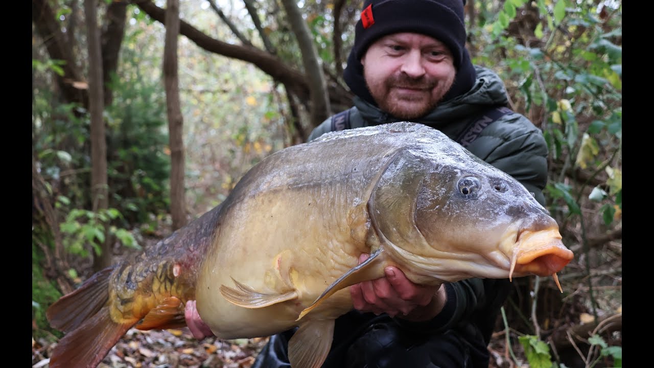Karpfenangeln im November am Baggersee 2024