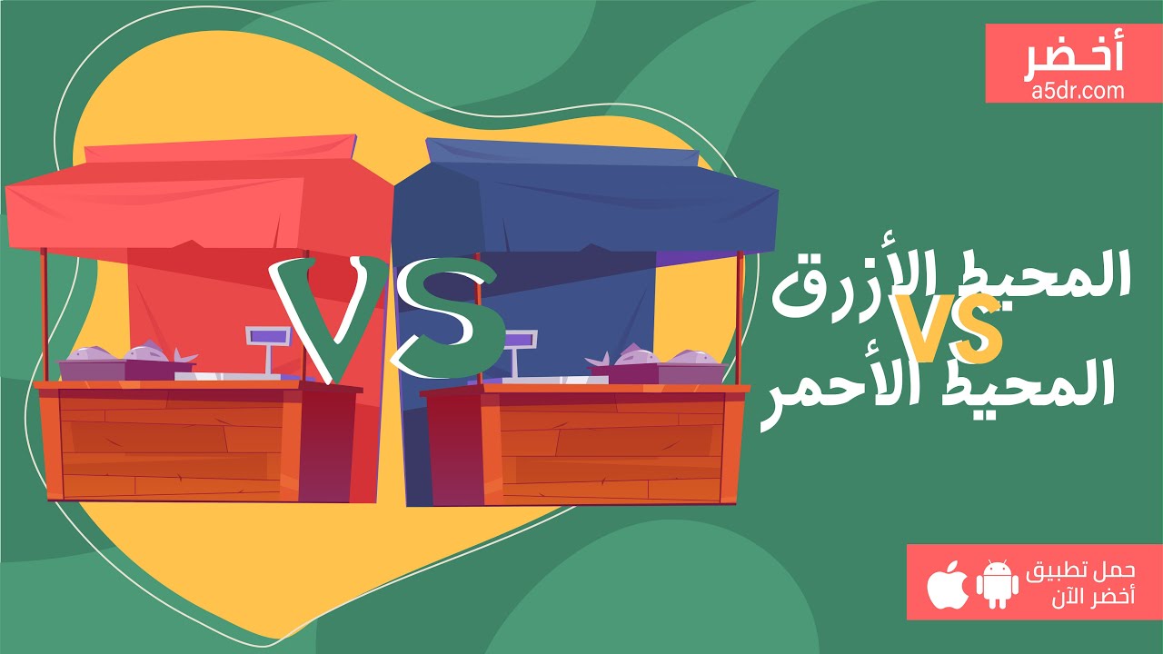 كتاب استراتيجية المحيط الأزرق 🌊  #أخضر