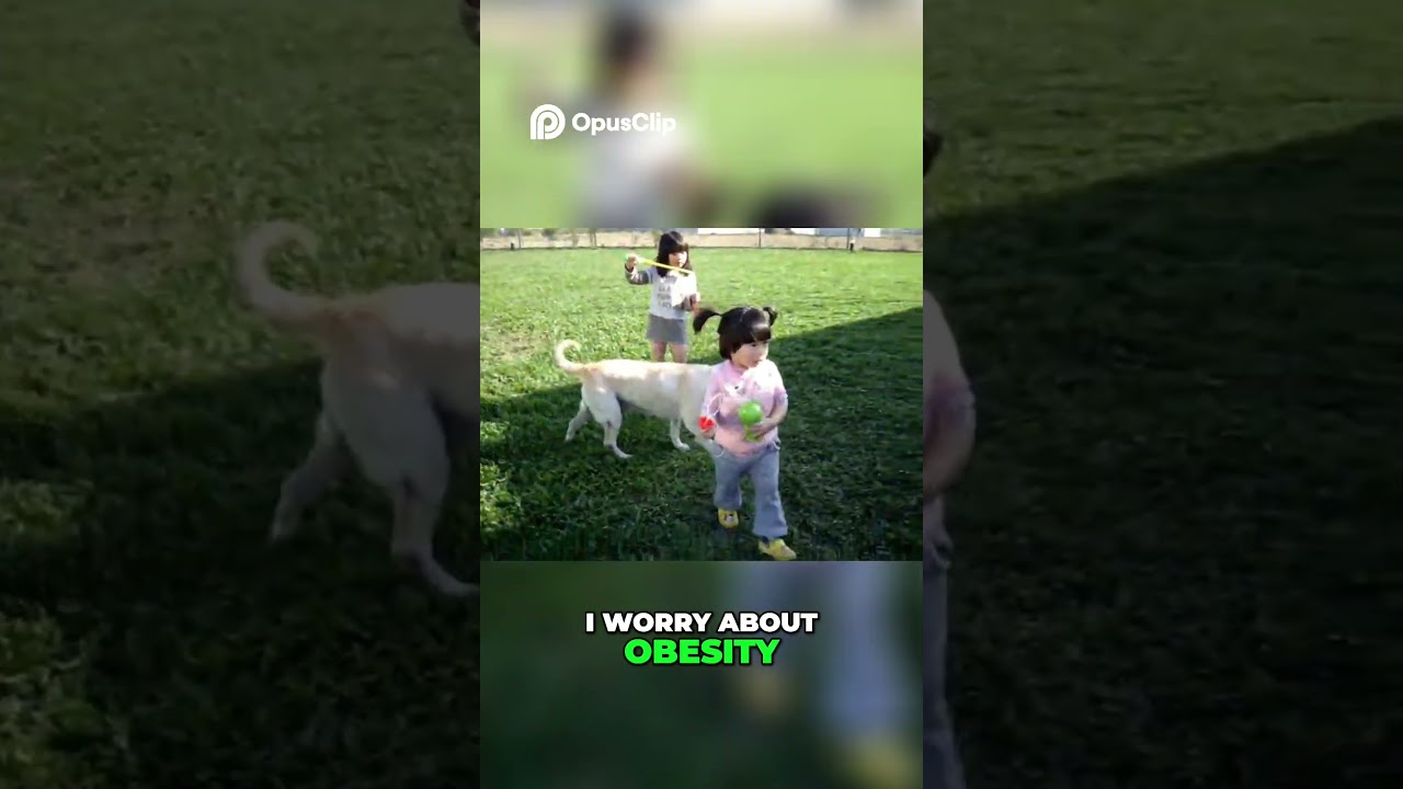 Cheer Up Your Sad Dog  Proven Ways to Boost Happiness!